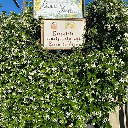 Alojamento de Acomodação e Pequeno-almoço Nonna Loreta Formello