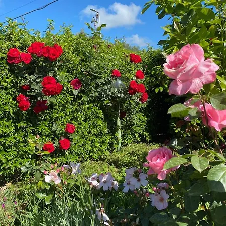 Nocleg ze śniadaniem Nonna Loreta