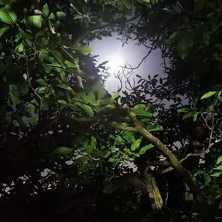 Nonna Loreta 3* Formello