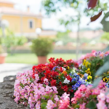 Nocleg ze śniadaniem Nonna Loreta 3*