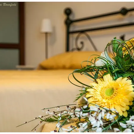 Nocleg ze śniadaniem Nonna Loreta 3*