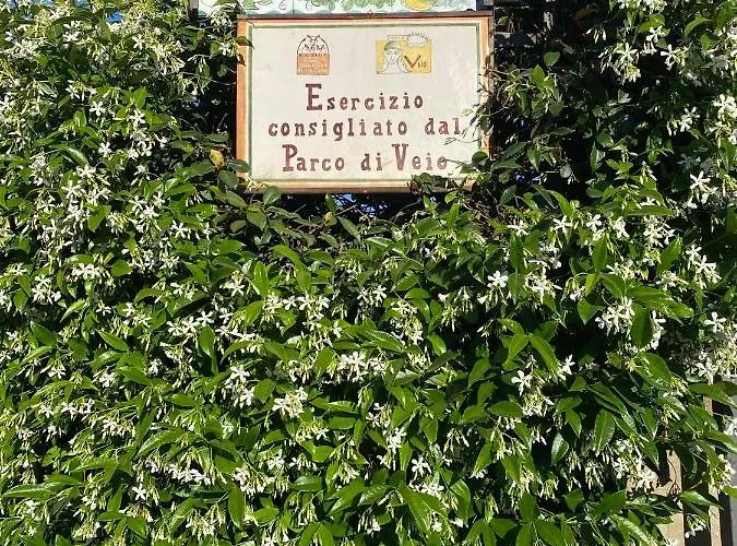 Bed & Breakfast Nonna Loreta Formello