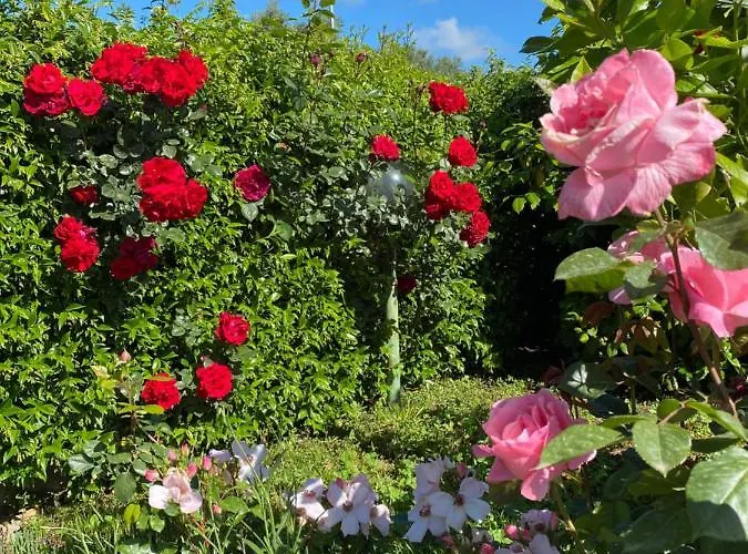 Bed & Breakfast Nonna Loreta