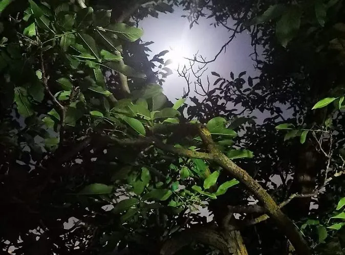 Nonna Loreta 3* Formello