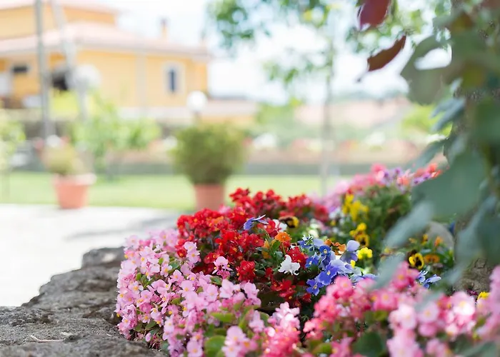 Bed & Breakfast Nonna Loreta 3*